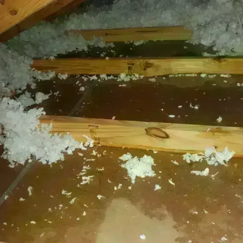 Attic Water Damage in Bray, OK